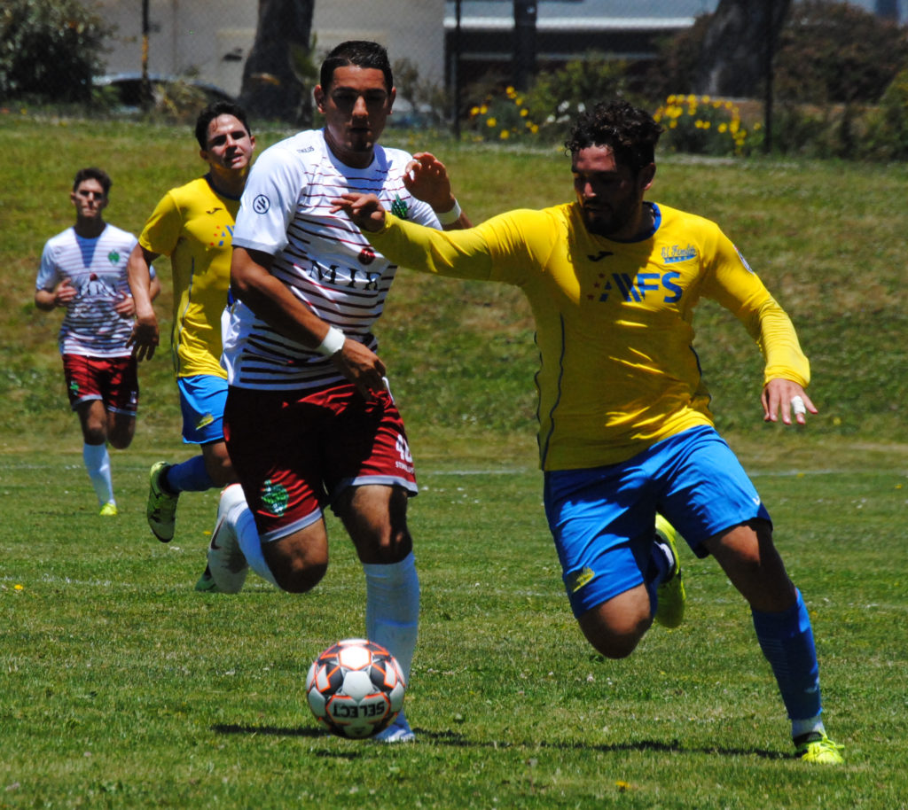 El Farolito v Napa Valley 1839 FC