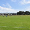 El Farolito v Academica SC