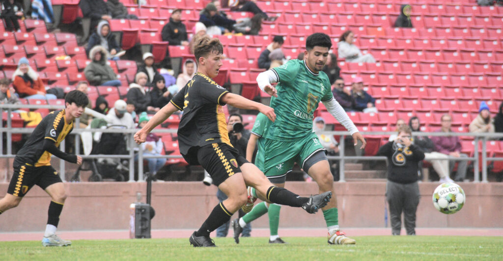 SF City v SF Glens
