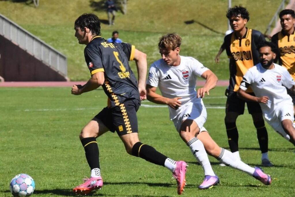 SF City v Davis Legacy
