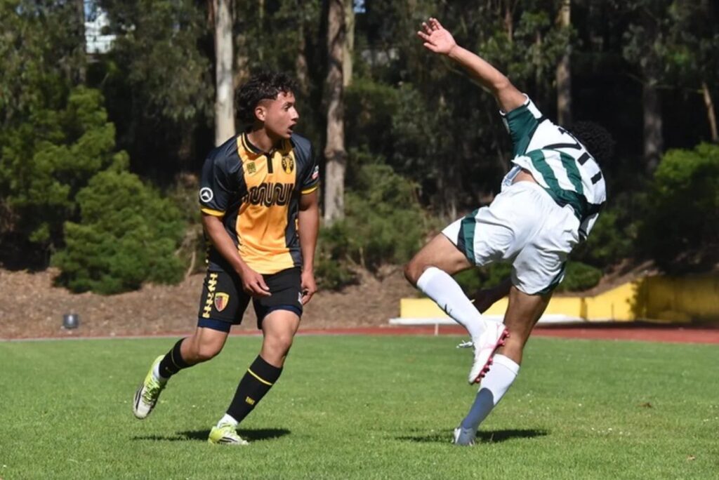 SF City v SF Glens